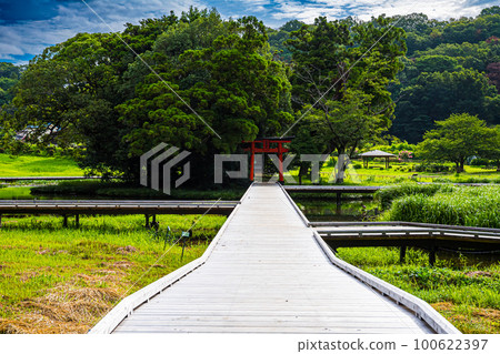 嚴島濕地公園 嚴島濕地公園 100622397