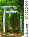 天照神社 100622406