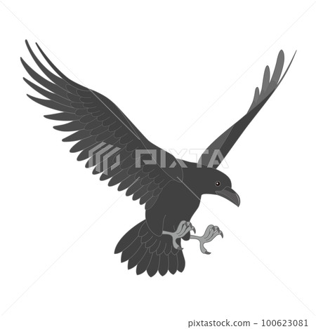 Crow  100623081