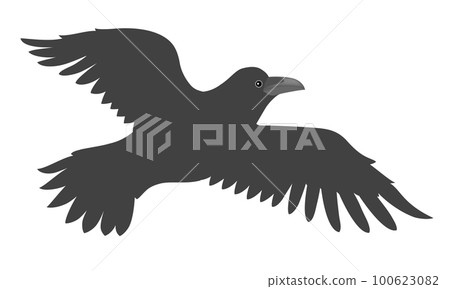 Crow  100623082