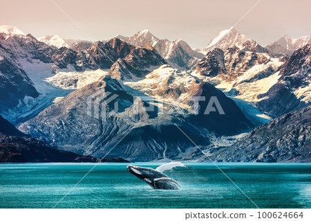 Alaska whale watching boat excursion. Inside passage mountain range landscape luxury travel cruise concept 100624664