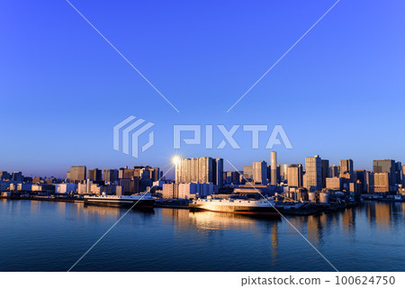Tokyo Bay at sunrise and container wharf 100624750