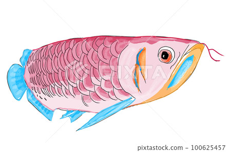 Arowana 100625457