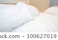 bed 100627019