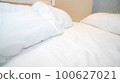 bed 100627021