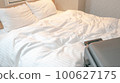 bed and carrier 100627175