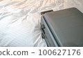 bed and carrier 100627176