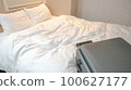 bed and carrier 100627177