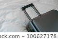 bed and carrier 100627178