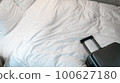 bed and carrier 100627180