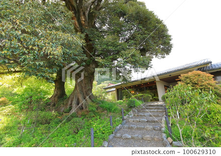 青梅市吉川英二博物館 青梅市吉川英二博物館 100629310
