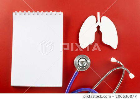 World TB Day. Top view lungs paper symbol, medical stethoscope and notebook paper on red background, lung cancer awareness, copy space concept of world tuberculosis day, banner background 100630877