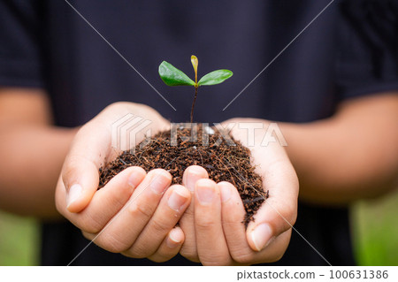 Image of the natural environment 100631386