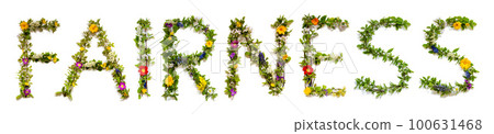 Colorful Blooming Flower Letters Building Word Fairness Colorful Blooming Flower Letters Building Word Fairness 100631468
