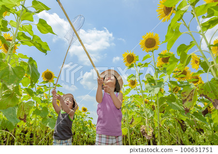 姐弟倆在向日葵田裡玩耍 姐弟倆在向日葵田裡玩耍 100631751