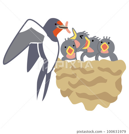 Illustration of a swallow feeding a chick 100631979