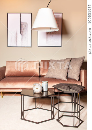 The interior of a modern living room in beige and brown colors with original loft-style household items and abstract paintings on the wall. 100631985