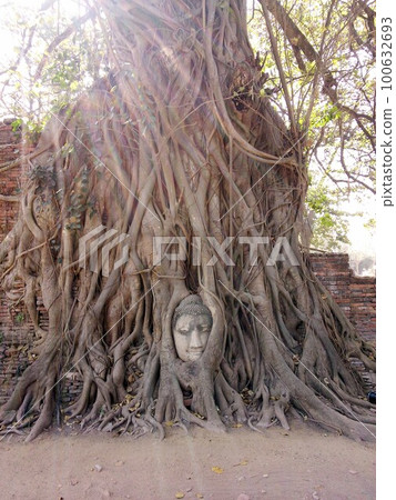 泰國_大城府 44 100632693