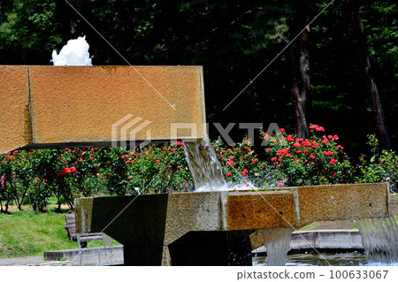 We went to Ingashira Park #78 We went to Ingashira Park #78 100633067
