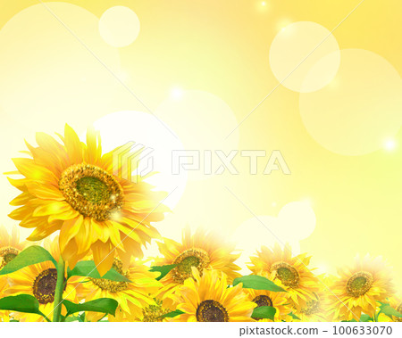 美麗的向日葵夢幻般的初夏框架橙色光背景散景插圖素材 100633070