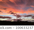 Sunset sky and wood silhouette 100633237