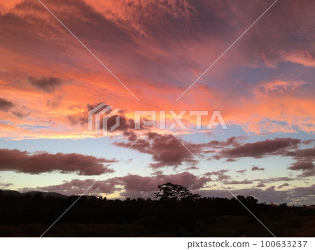 Sunset sky and wood silhouette 100633237