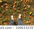 Fallen leaves and sneakers 100633239