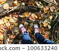 Trees, Fallen Leaves, and Sneakers 100633240