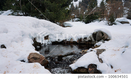 The spring springs from the ground in winter. The spring springs from the ground in winter. 100634501
