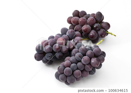 Kyoho grapes arranged in a white background Kyoho grapes arranged in a white background 100634615