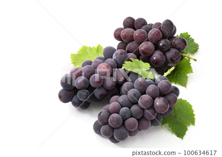 Three Kyoho grapes with leaves on a white background 100634617
