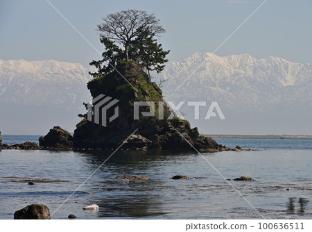 Amaharakaigan 100636511