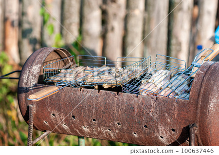 Grilled chicken skewers, shish kebab, fried chicken drumsticks on a skewer, outdoor picnic Grilled chicken skewers, shish kebab, fried chicken drumsticks on a skewer, outdoor picnic 100637446