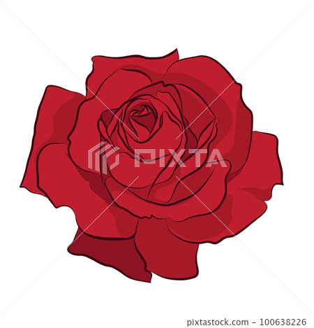 Beautiful red rose, isolated on white background. Botanical silhouette of flower. Flat stylization color Beautiful red rose, isolated on white background. Botanical silhouette of flower. Flat stylization color 100638226