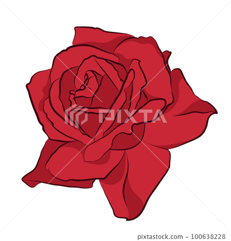 Beautiful red rose, isolated on white background. Botanical silhouette of flower. Flat stylization color Beautiful red rose, isolated on white background. Botanical silhouette of flower. Flat stylization color 100638228