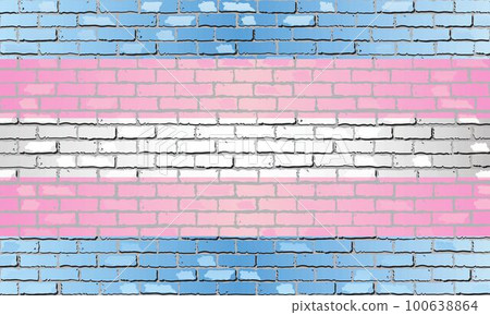 Transgender Pride Flag on a brick wall 100638864