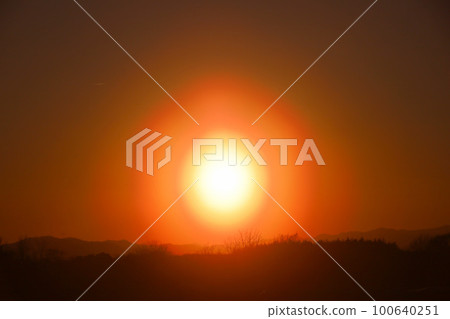 宇都宮市花粉株式會社 100640251