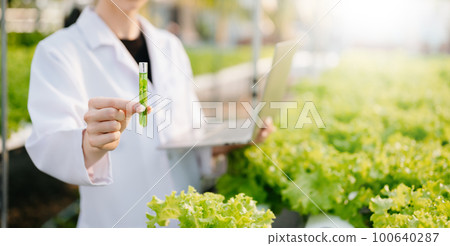 Researcher in white uniform are checking with ph strips in hydroponic farm and pH level scale graphic, science laboratory greenhouse concept. .. 100640287
