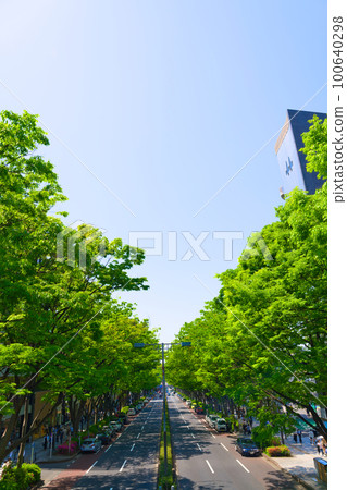 [Tokyo] May Golden Week arrives. Arrive at Shinroku Tokyo Station with refreshing blue sky and beautiful greenery, and visit Omotesando. 100640298