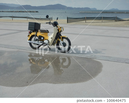 Cub to the beach 100640475