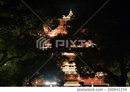 Hangzhou, China - August1, 2017 100641154