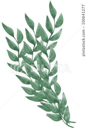 watercolour green leaf foliage wreath frame hand drawn illustration 100641277