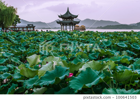 Hangzhou, China - August 2, 2017 beautiful the west lake scenery Hangzhou, China - August 2, 2017 beautiful the west lake scenery 100641503