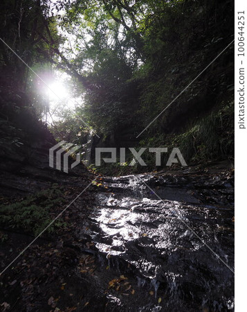 Spring water flowing through rocks and sunlight filtering through foliage Spring water flowing through rocks and sunlight filtering through foliage 100644251