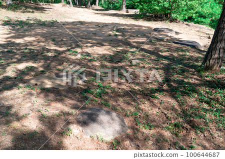 [日本名城100] 岡山縣總社市基石組4 木之城 100644687