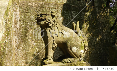 Seasoned Veteran Komainu Seasoned Veteran Komainu 100645830