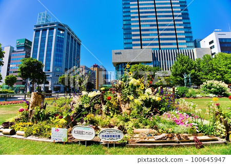 大通公園（北海道札幌市中央區） 100645947