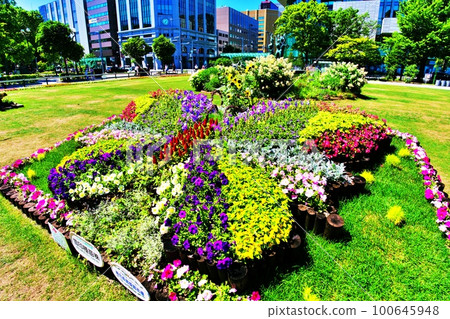 Odori Park (Chuo Ward, Sapporo City, Hokkaido) Odori Park (Chuo Ward, Sapporo City, Hokkaido) 100645948