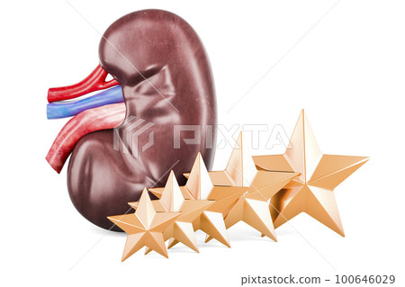Human Kidney with five golden stars. Customer rating, 3D rendering 100646029