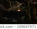 Full moon and cherry blossoms from Maruoka Castle, Sakai City, Fukui Prefecture 100647471